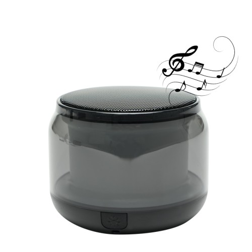 Parlante Altavoz Bluetooth 