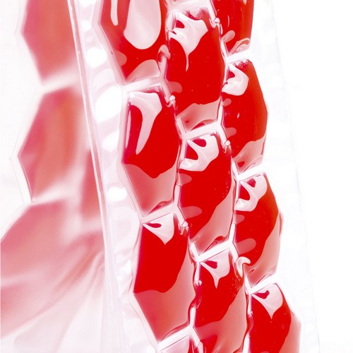 Bolsa Enfriador Raycon 25 cm x 10 cm x 10 cm 